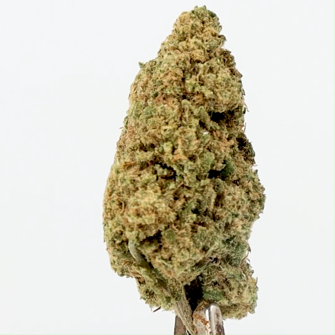 APPLE FRITTER CBD Flowers | CBD Indoor