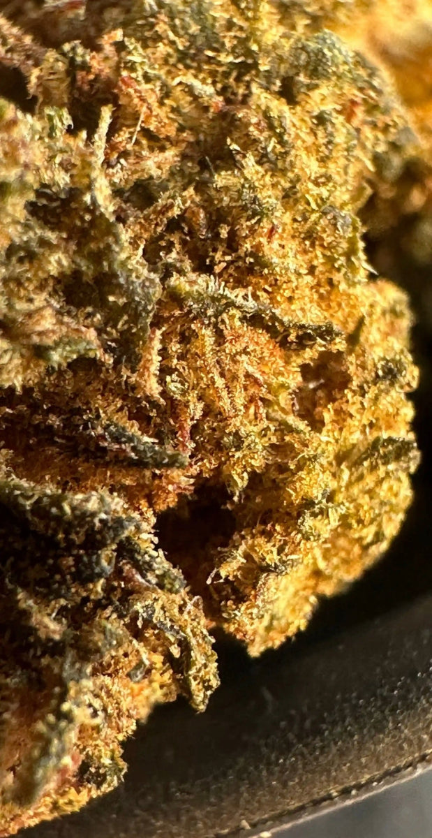 Flores CBD CHEESECAKE | CBD Glasshouse - HEADZ