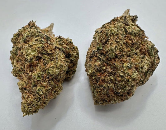 Flores CBD WHITE TRUFFLE | CBD Hydro - HEADZ