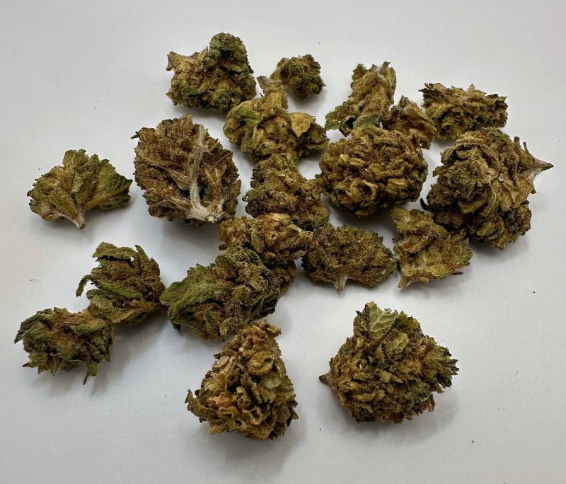 Flores Mini CBD FANTA HAZE | Indoor CBD cogollos MINI - HEADZ