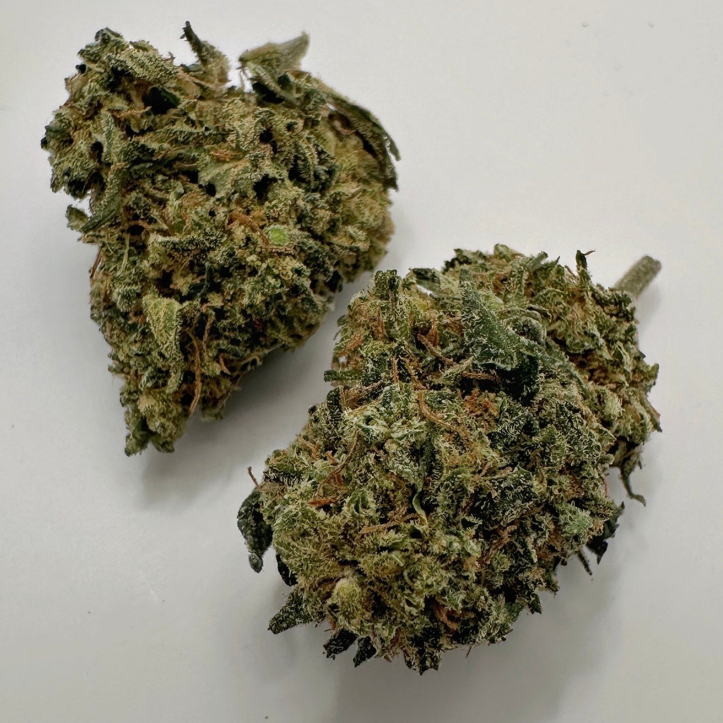 Flores CBD ORANGE BUDDHA | CBD Indoor