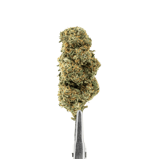 CBD CALI GRAPE Flowers | CBD Indoor