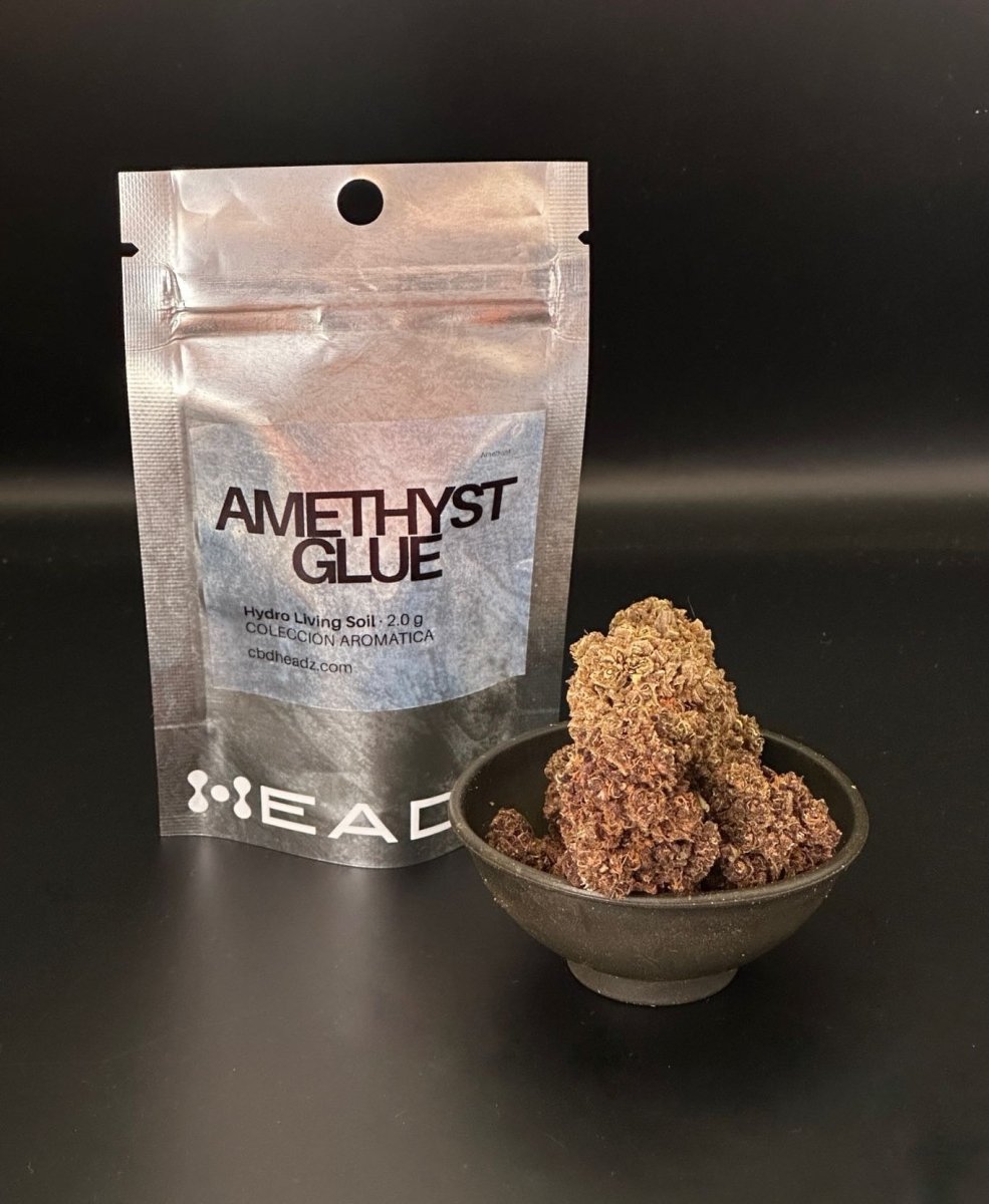 Flor CBD Amethyste Glue hidropónica con bolsa HEADZ
