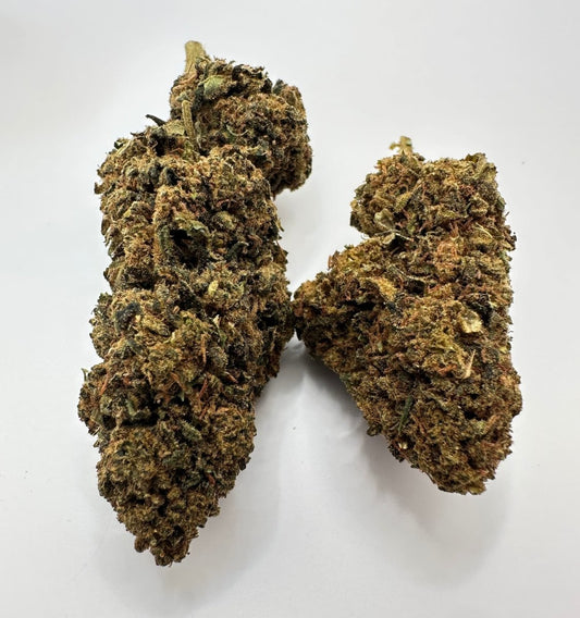 Cogollos de Fanta Haze CBD indoor, primer plano