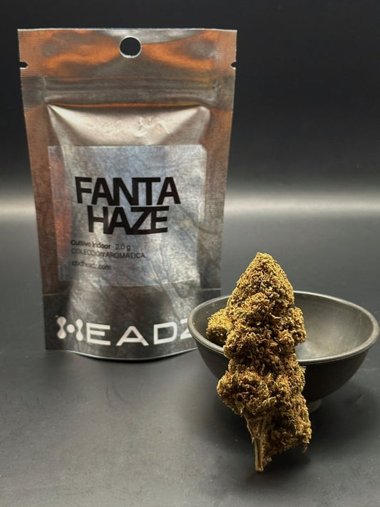 Flor CBD Fanta Haze indoor junto a su bolsa HEADZ