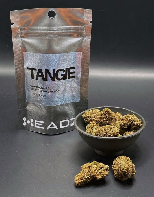 Flores CBD Tangie de invernadero con bolsa HEADZ